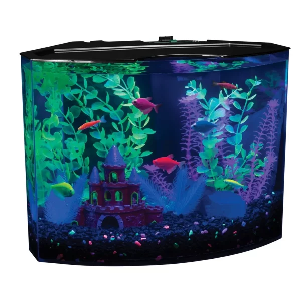 5 Gallon Aquarium Kit with Light and Internal Filter Crescent Shaped Fluorescent Fish Tank Complete Aquarium Setup