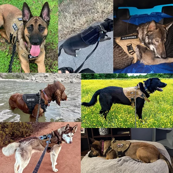 Military Large Dog Harness Collar Leash Bags Patches Set Training Vests Tactical Dogs Harnesses