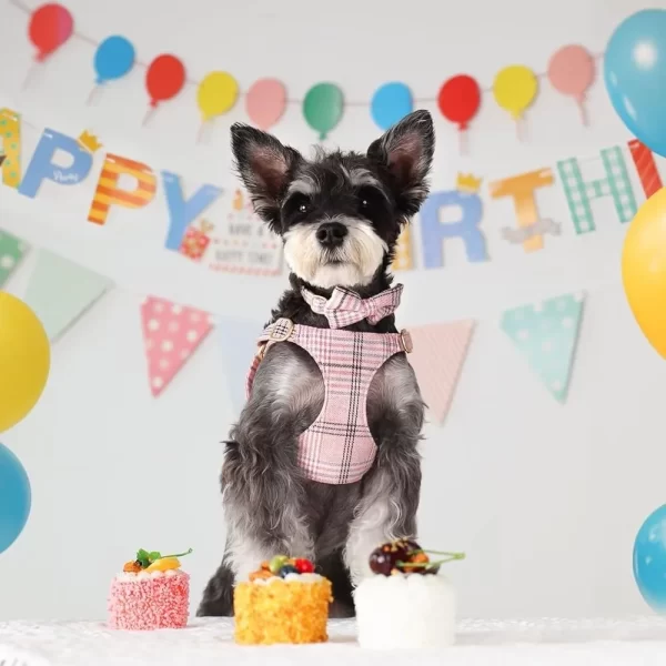 Small Dog Harness Collar Leash Set Adjustable Soft Plaid Design - Image 3