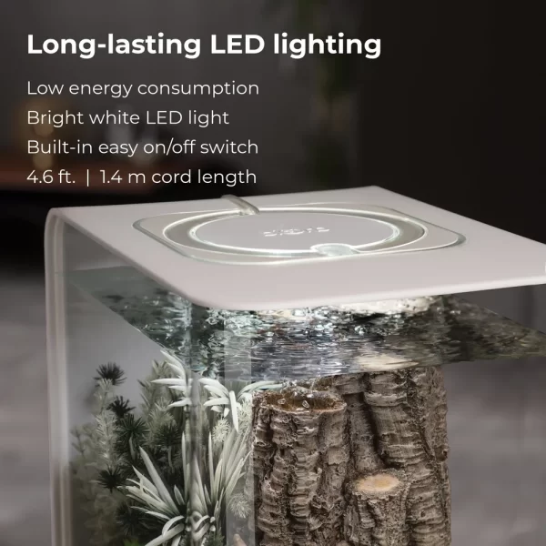 Acrylic Aquarium 8 Gallon with Light, Patented 5 Stage Filtration System, Transparent Sides Easy Maintenance Fish Tank - Image 5