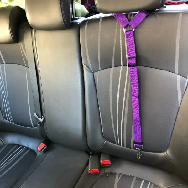 Solid Color Two-in-one Pet Car Seat Belt Nylon Lead Leash Backseat Safety Belt Adjustable Dog/Cat Harness Collar Pet Accessories - Image 2